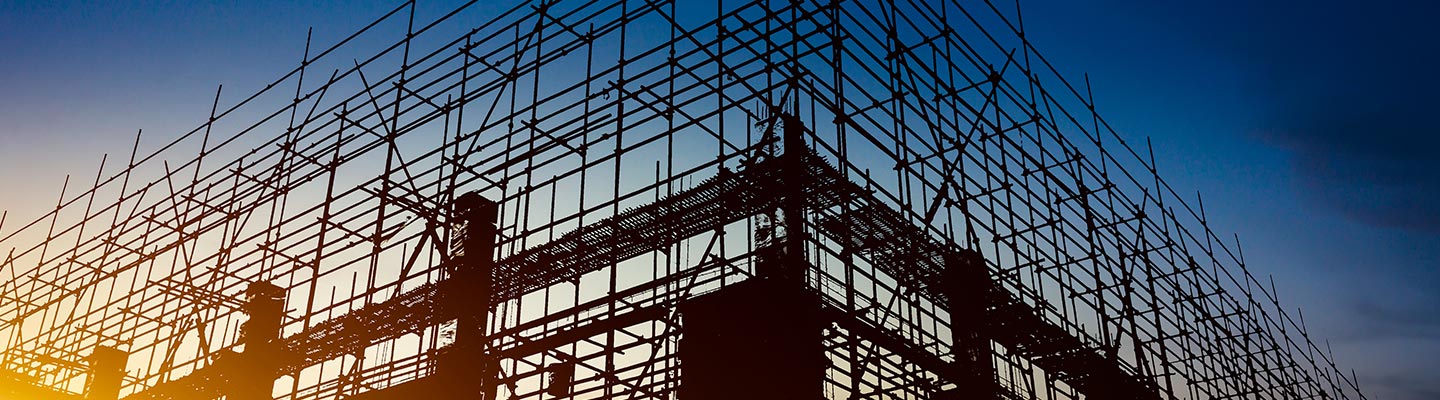 Intelli Develpement Corporation Projects