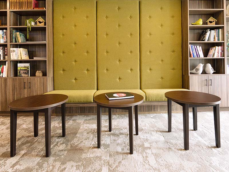 Intelli Develpement Corporation Projects