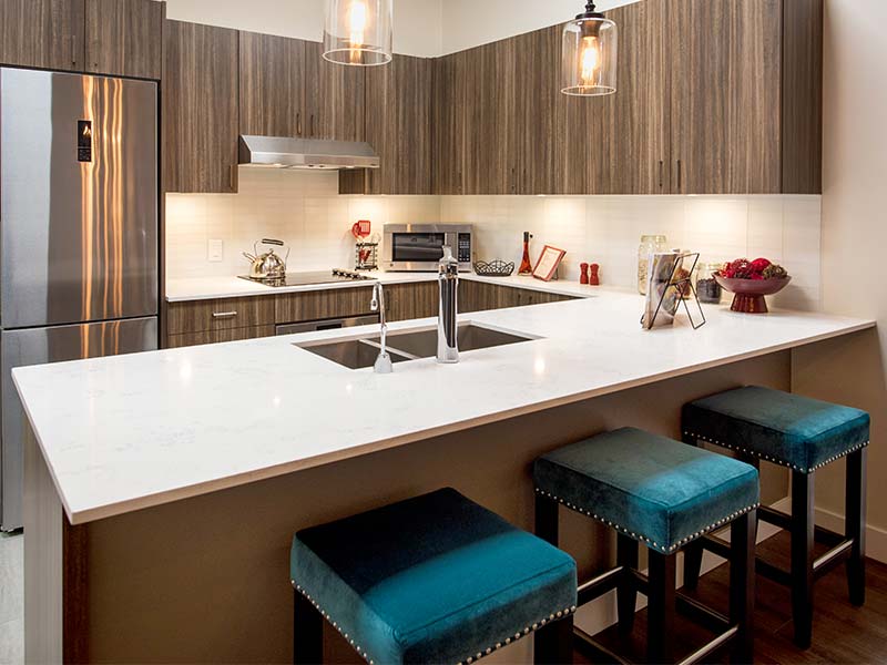 Intelli Develpement Corporation Projects