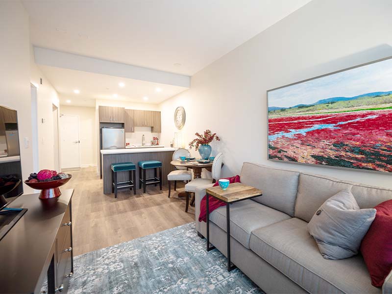 Intelli Develpement Corporation Projects