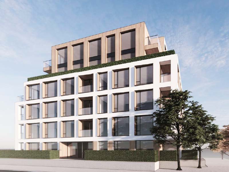 Intelli Develpement Corporation Projects